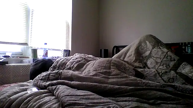 dezzidavill live sex cam