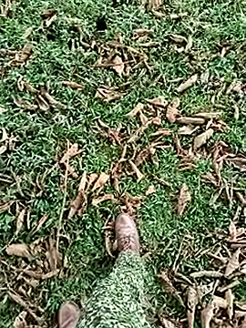 elconsentido19's cam snapshot