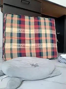 Ally-cutee's cam snapshot