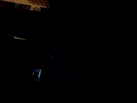 stropinela23's cam snapshot