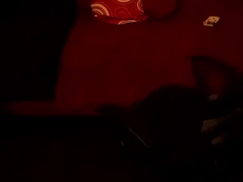 BEMYPROPERTYx live sex cam