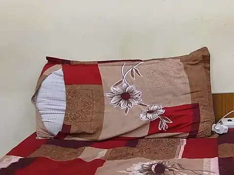 Beautiful_ladki's cam snapshot