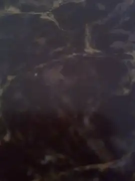 gaticahottboom's cam snapshot