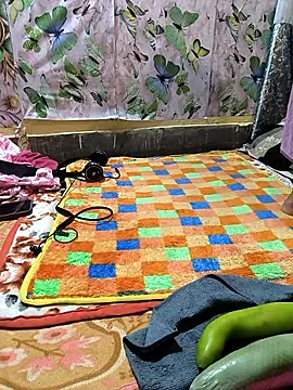 Hotty-Rani-Bhabi's cam snapshot