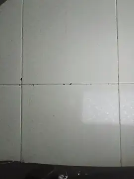 carria_homes live sex cam