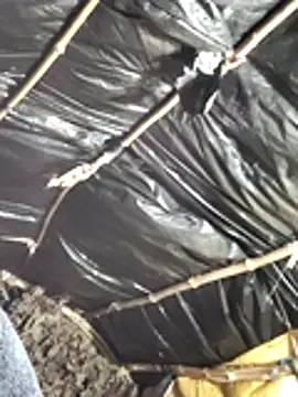 Bhavna8080's cam snapshot