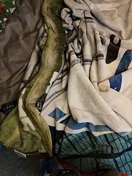 CollegeBull19 live sex cam