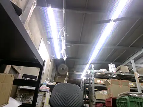 BustedCall's cam snapshot