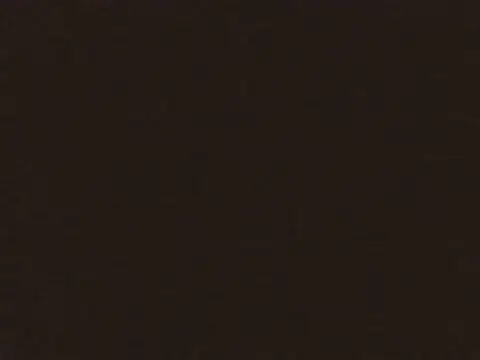 callmeraxii's cam snapshot