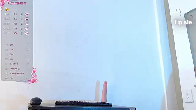 Ladysweety01_'s cam snapshot