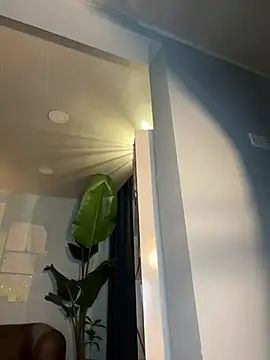 Canneela live sex cam