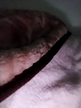 nayakaA7 live sex cam