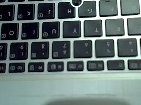 Delicious-D's cam snapshot