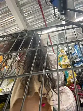 dani_bela live sex cam