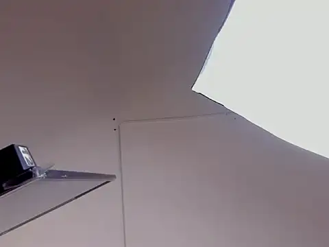 DanniWest's cam snapshot