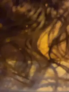 roxyrougee live sex cam