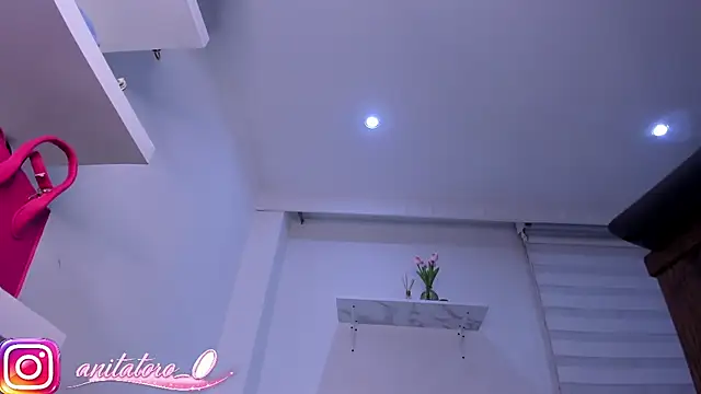 anitatoro_0 live sex cam