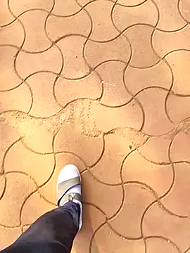 Brown_Munda047's cam snapshot