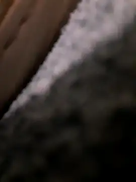 Florent1307's cam snapshot