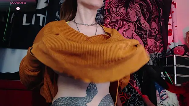 Silentmary's cam snapshot