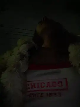 Emily-Fire's cam snapshot