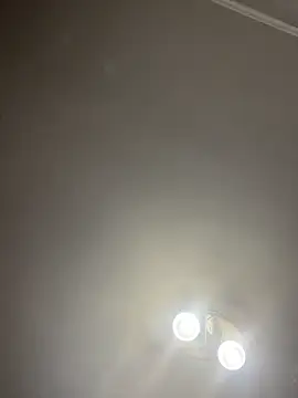 bunnythetailor live sex cam