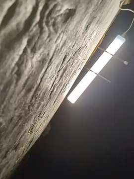 Boysex227 live sex cam