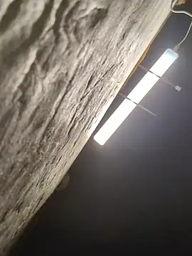 Boysex227 live sex cam