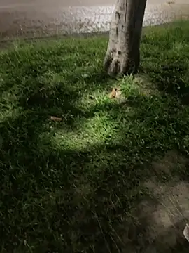 joel852 live sex cam