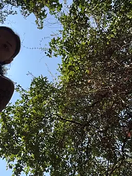 MiraReach live sex cam