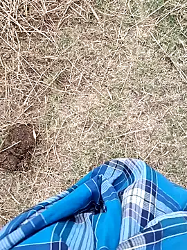 dolphiinn live sex cam