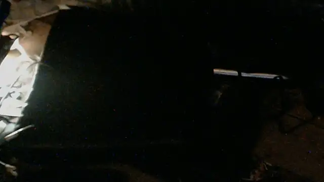 BISLETJE1980 live sex cam