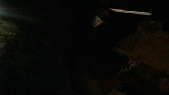 BISLETJE1980's cam snapshot