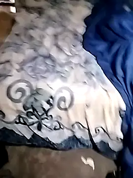 rasheed2026's cam snapshot