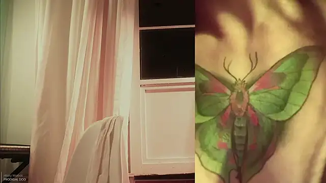 _Avriles_ live sex cam