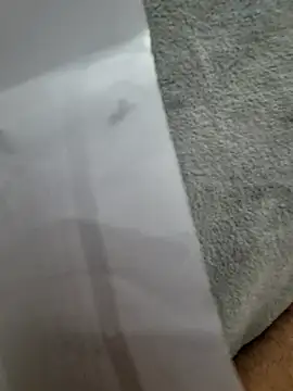 Edu235's cam snapshot