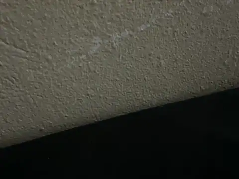 kakarot241515 live sex cam