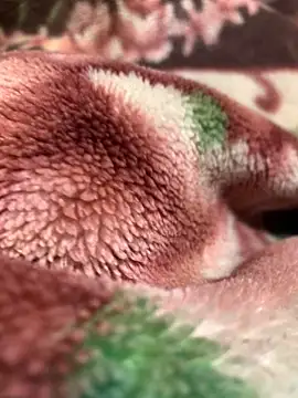 Gengista88 live sex cam