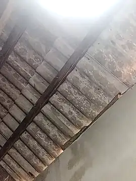 bongtuyet11's cam snapshot