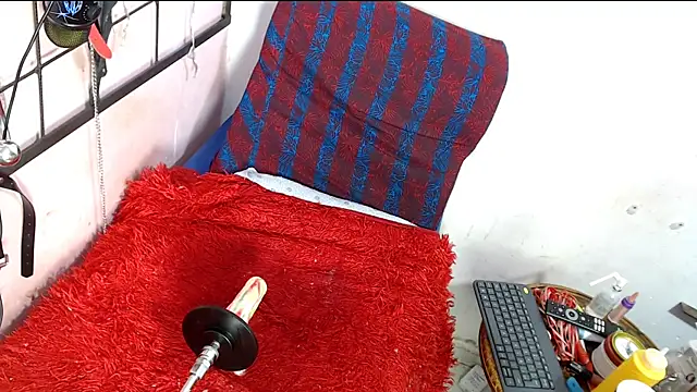 codorniz2025's cam snapshot