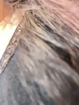 Carlin-yiyi live sex cam