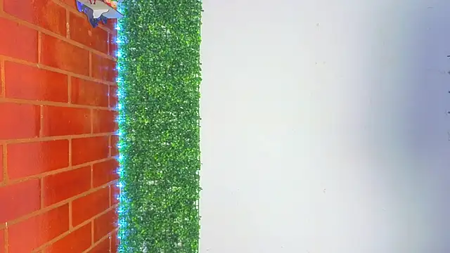 Demitryo's cam snapshot