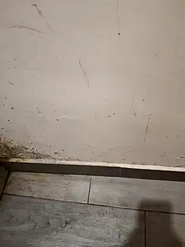 kkachondo's cam snapshot