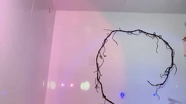 BeChinh_Lee live sex cam