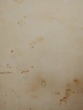 Sapna_baby1 live sex cam