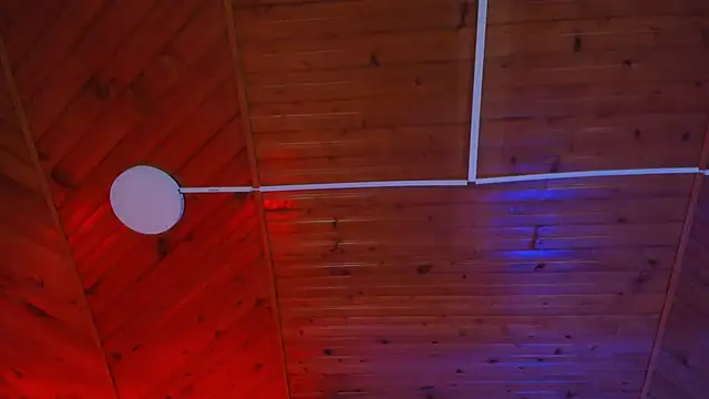 Lizz_Collins live sex cam