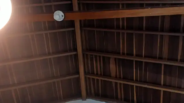 TonyPetrovjs's cam snapshot