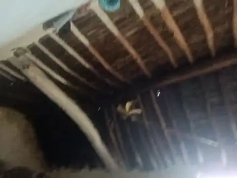 LOVE-VIKA live sex cam