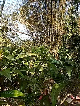 Girl_cutee's cam snapshot