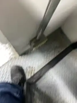 Elmanc's cam snapshot